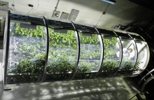 کشاورزی فضایی: راهنمای جامع پرورش گیاهان در بی‌وزنی و کوددهی نوین