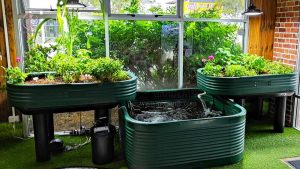 کشاورزی عمودی و بدون خاک: تغذیه، کوددهی و آینده پایدار