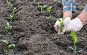 ZIMAFER میکس آهن ، منگنز و روی