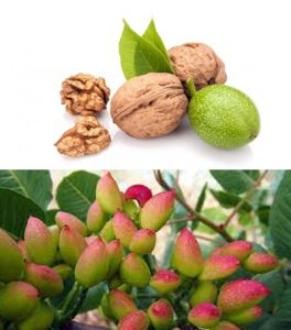 ZIMAFER میکس آهن ، منگنز و روی