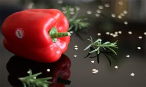 راهنمای جامع کوددهی فلفل دلمه‌ای قرمز