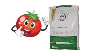 راهنمای جامع کوددهی فلفل دلمه‌ای قرمز