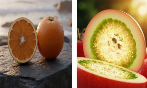 جادوی ترکیب کلسیم و نیتروژن