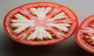 سفیدی داخل گوجه فرنگی: نیترات مقصر است یا یک راز دیگر؟