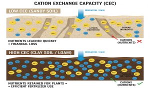رد پارادایم کوددهی یکسان در باغات میوه