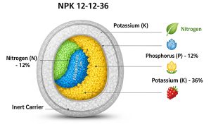 نقش پتاسیم در کود NPK 12-12-36